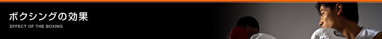 ボクシングフィットネス