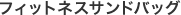 フィットネスサンドバッグ